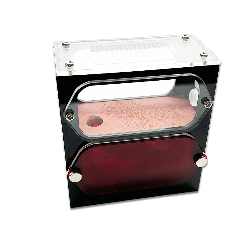 Paredes transparentes de granja de hormigas de hormigón, nido de hormigas de fácil observación, taller de antill para mascotas, casa de hormigas de insectos con torre de agua, área de caza - imagen 5