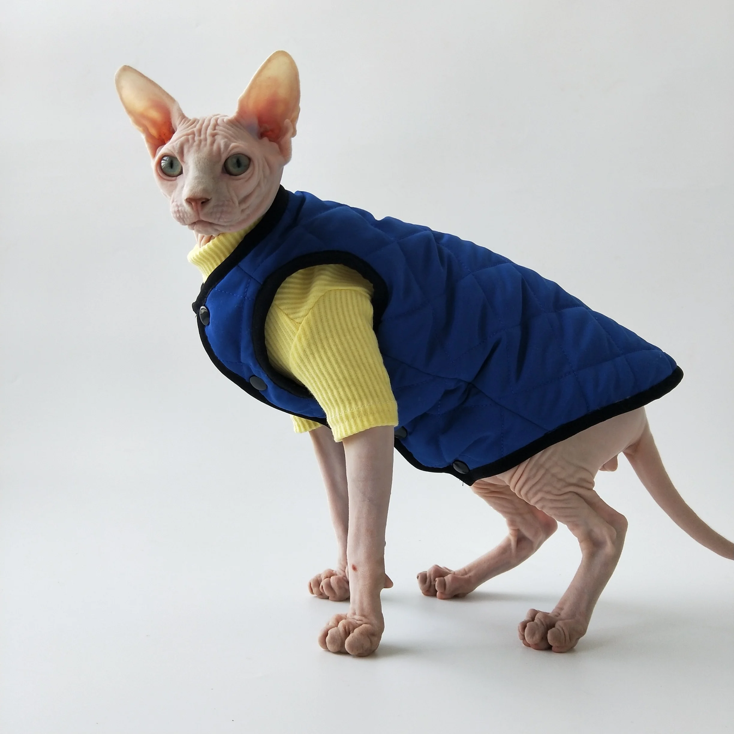 Chaleco con forro polar de algodón para gatos Sphynx otoño invierno - imagen 3