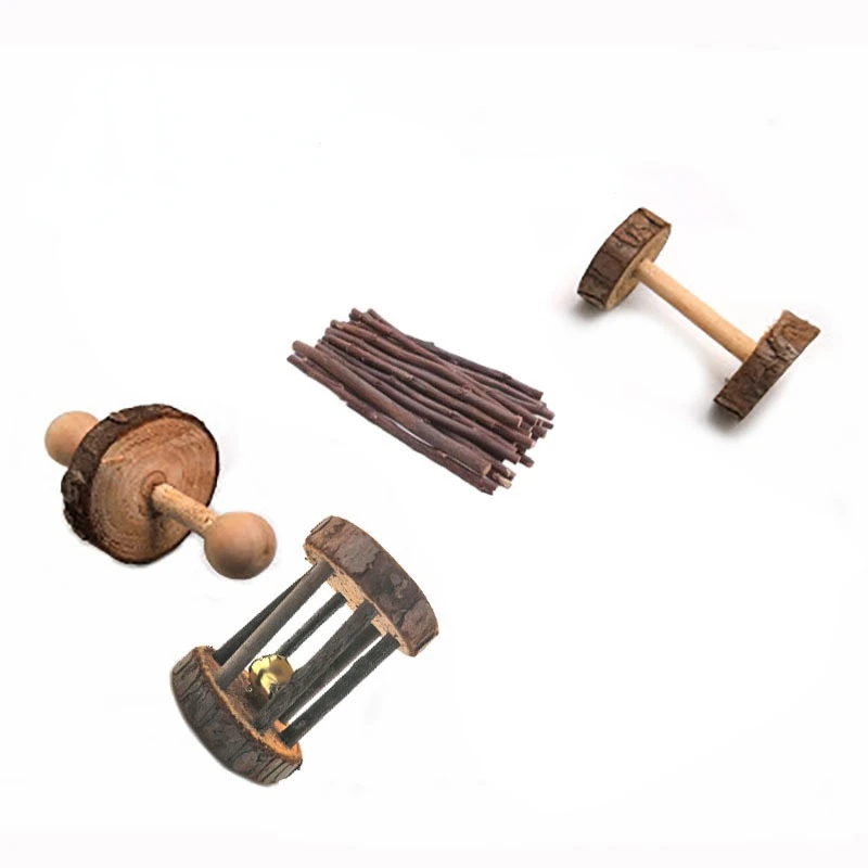 Juguete de conejillo de indias para hámster, accesorios de madera para entrenamiento, limpieza de dientes molares - imagen 3