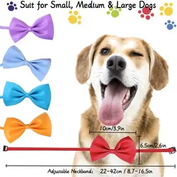Collar lazo ajustable para perros y gatos – Cómodo y seguro