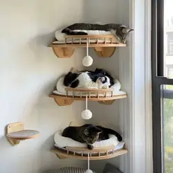 Plataforma de pared para gatos con marco de escalada en madera maciza