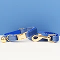 Cat collar Leash