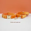 collar and leash set