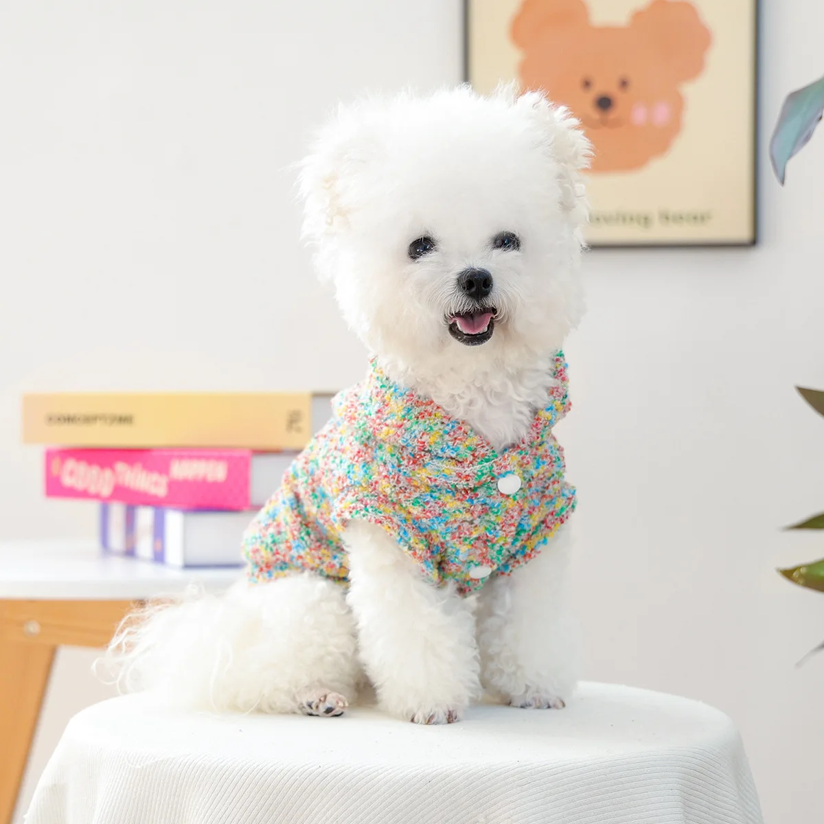 Cárdigan de punto para mascotas, Otoño/Invierno, bola de pelo para perros pequeños/gatos, cómoda Sudadera con capucha colorida, ropa para perros pequeños - imagen 3