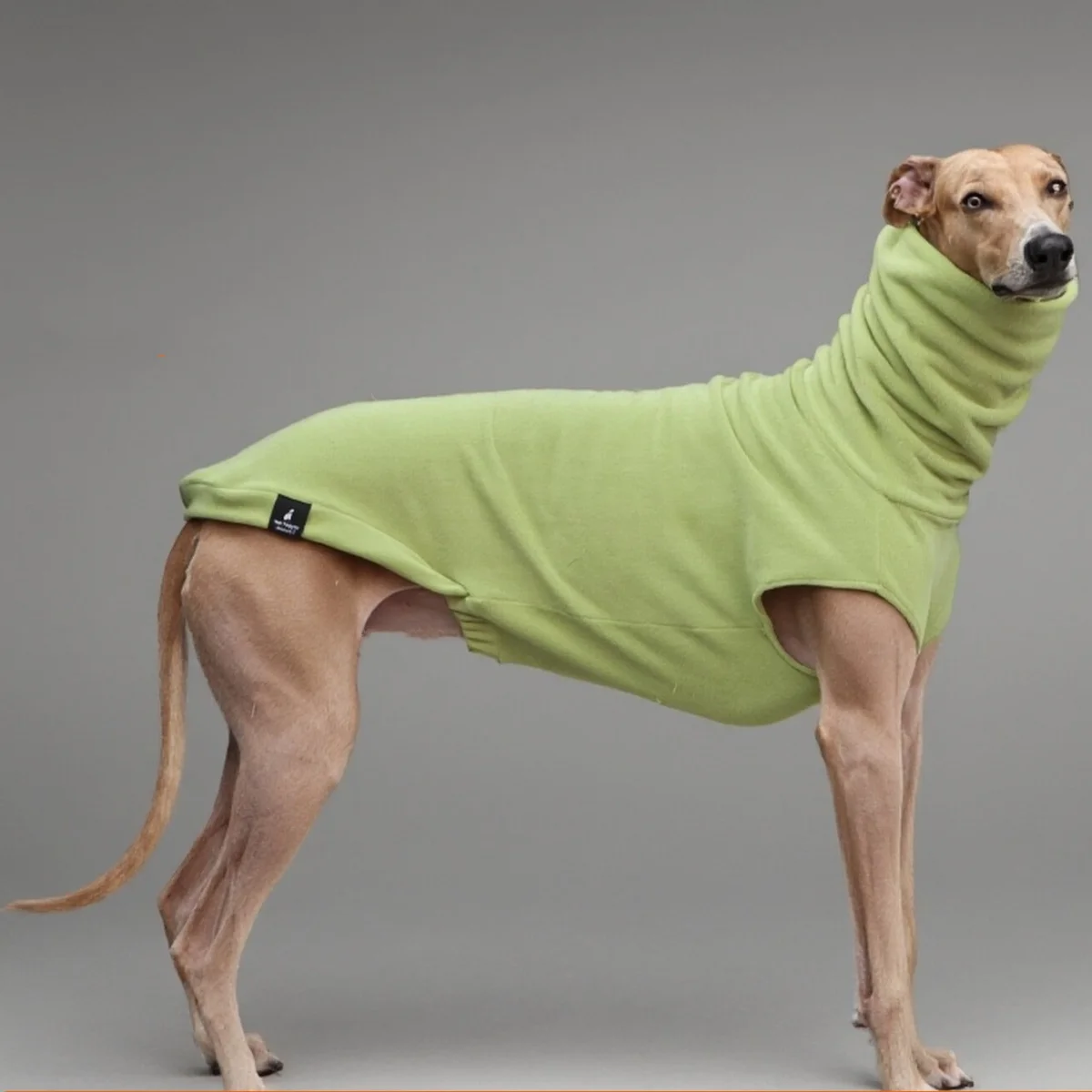 Abrigo para galgos perros y whippets forro polar verde cuello alto - imagen 4