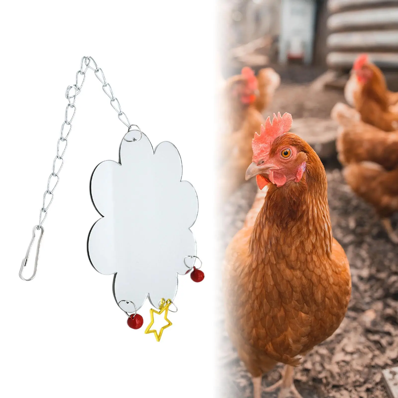 Juguetes de espejo de pollo colgante de acrílico con campanas, accesorios de jaula de pájaros, juguete interactivo de pollo para gallinero, suministros para aves