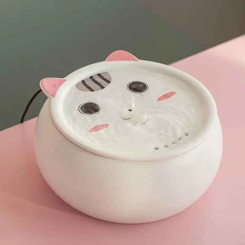 white cat with Heate