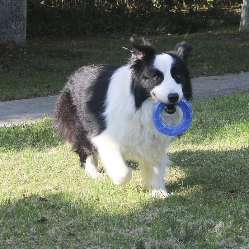 Juguete de verano para perros, resistente a mordeduras, juguete para masticar refrescante para mascotas, cepillo de dientes para cachorros, juguete de limpieza de dientes, juguete Molar congelado para perros - imagen 4