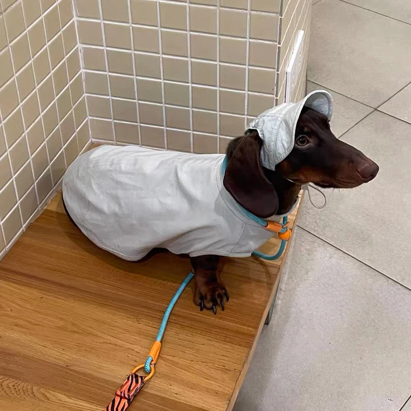 Camiseta de verano para perro Wiener, ropa, chaleco de manga corta gris suave para perro tejón, abrigo de tela fresco para perro salchicha en primavera - imagen 3