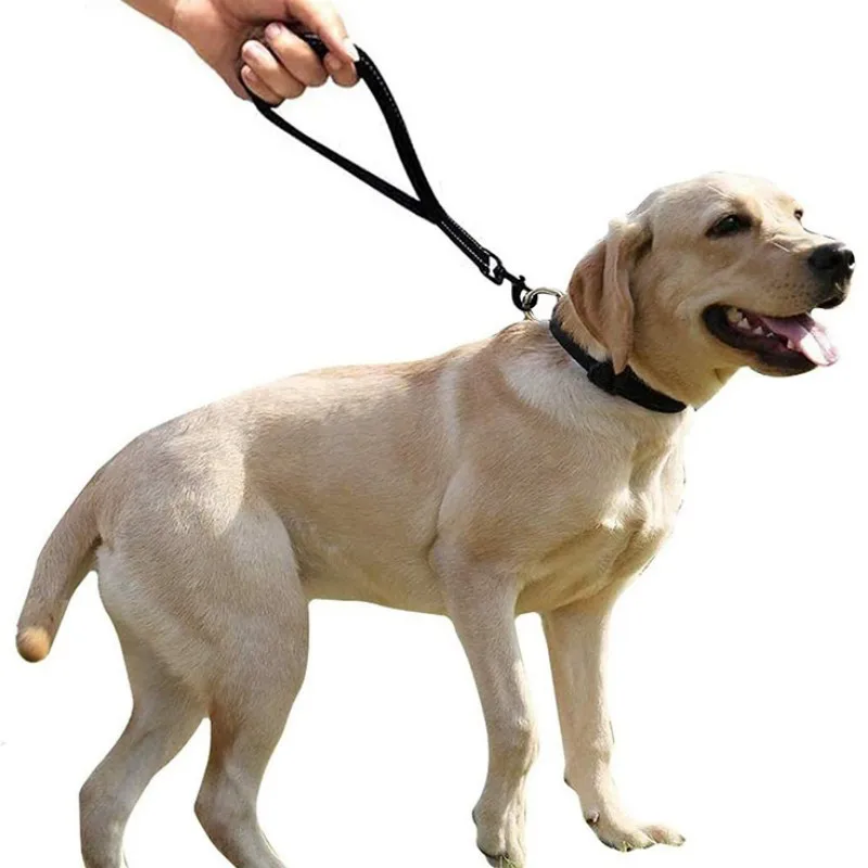 Correa reflectante para perro, correas cortas de nailon para caminar, mango cómodo, cadena para mascotas, 30cm - imagen 4