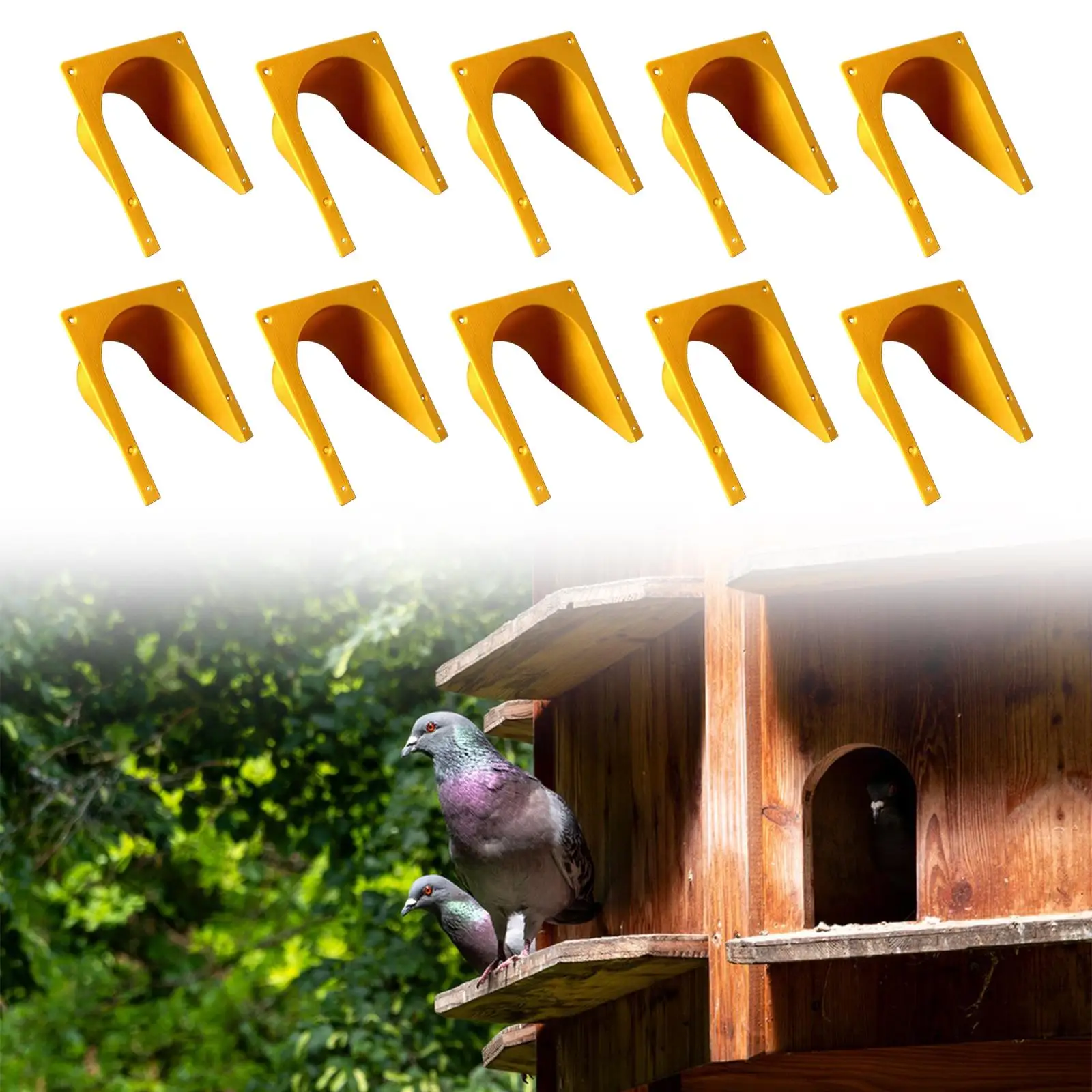 10Pcs Homing Pigeon House Door, Pigeon Equipment, Only in but Not Out Rounded Corner Homing Accessories ,