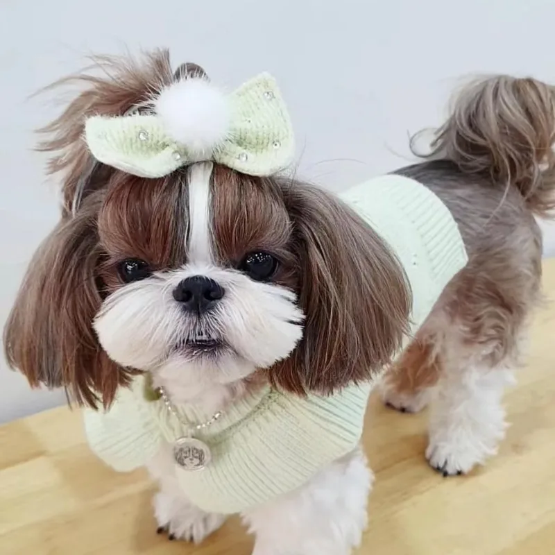 Suéter de lana suave de punto con cuello de loto de Cachemira para mascotas, ropa de invierno para perros pequeños, abrigo de lujo para cachorros y gatos - imagen 2