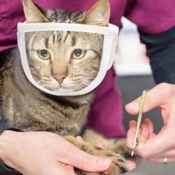 Bozal transparente y antimordeduras para cachorro y gatito