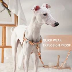 Arnés para perros a prueba de explosiones, correa para perros al aire libre, correa para caminar, suministros para mascotas antitiramiento de acceso rápido para perros pequeños