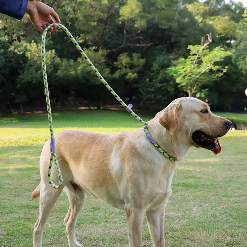 Cadena duradera de nailon para mascotas, Collar de correa de tracción para perros medianos y grandes, Correa antideslizante para cachorros - imagen 4