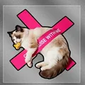 Ragdoll cat
