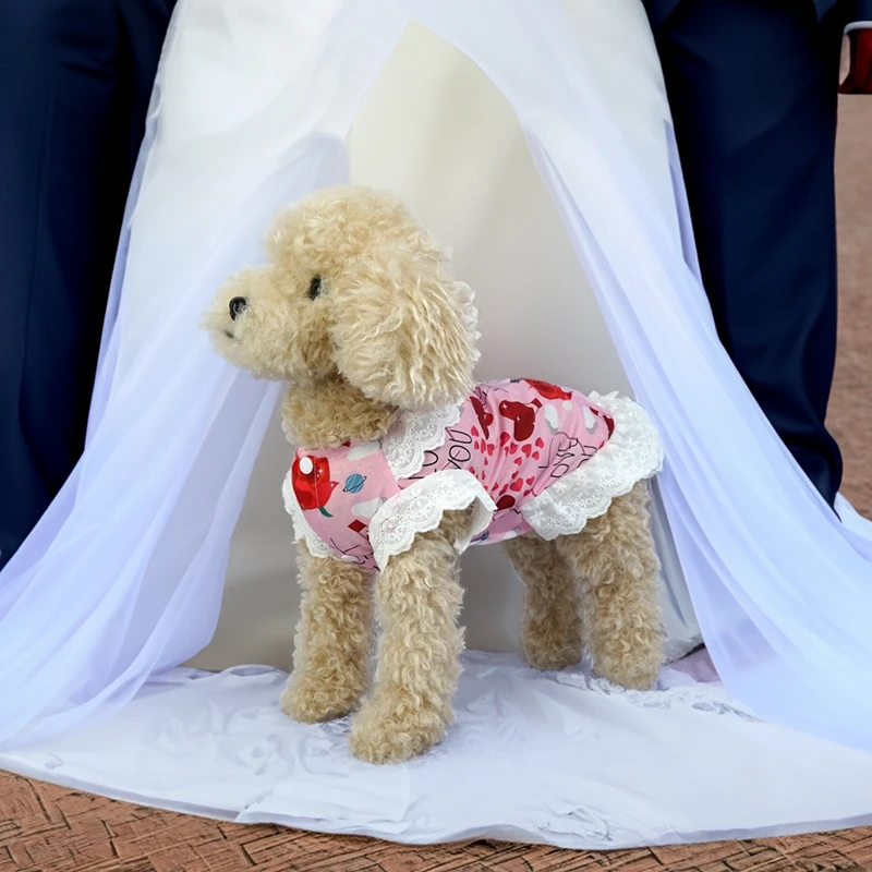Ropa para mascotas del Día de San Valentín, chaleco con estampado romántico para perros y gatos, ropa transpirable para cachorros y gatos, camiseta para perros pequeños, peluche de Pomerania - imagen 3