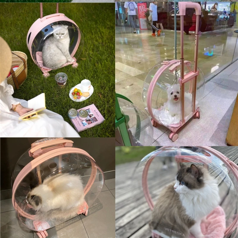 Maleta de transporte transparente con ruedas para gatos - imagen 4
