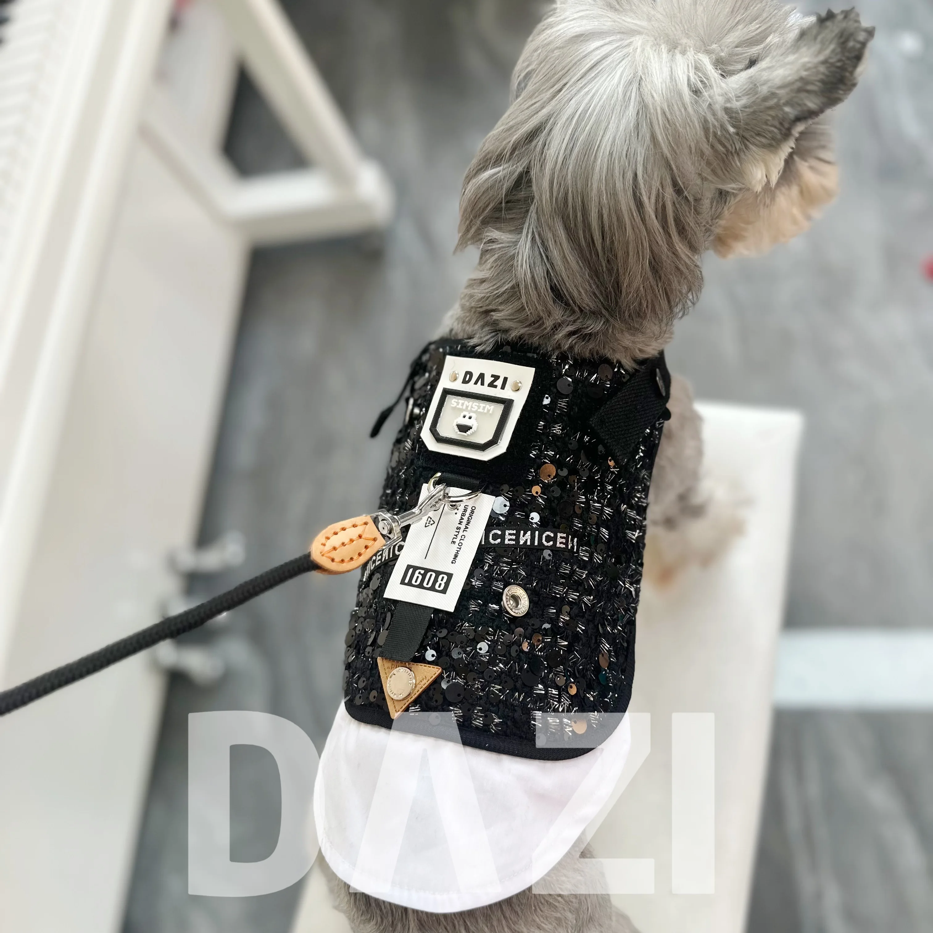 Conjunto de correa y arnés para perro de lujo, vestido de princesa negro con lazo, correa para el pecho de encaje, cuerda de plomo para caminar para cachorros para Schnauzer maltés - imagen 4