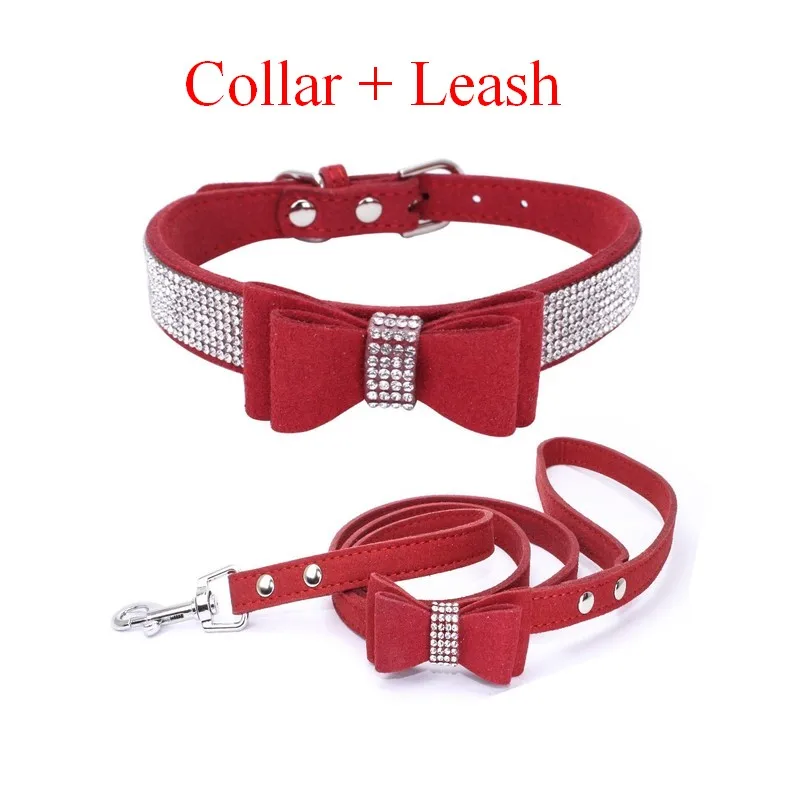 Collar Leash RD