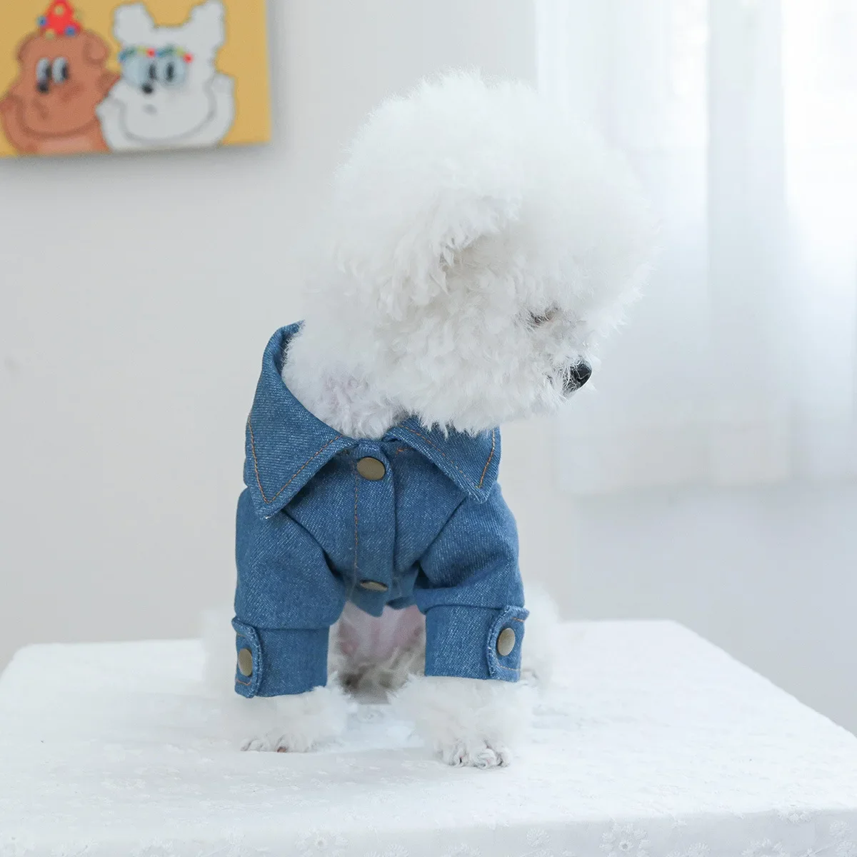 Abrigo vaquero con forma de estrella para mascotas, chaqueta para perros, abrigo con solapa para gatos, cortavientos vaquero con estrellas, ropa de diseñador para perros, ropa para cachorros - imagen 4