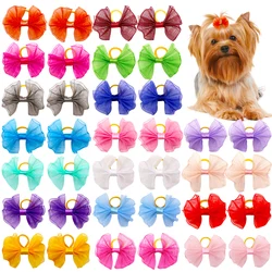 Lazos y accesorios de peluquería para perros pequeños – Set completo