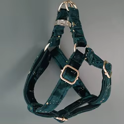 Collar de identificacion personalizado para perros - grabado gratis
