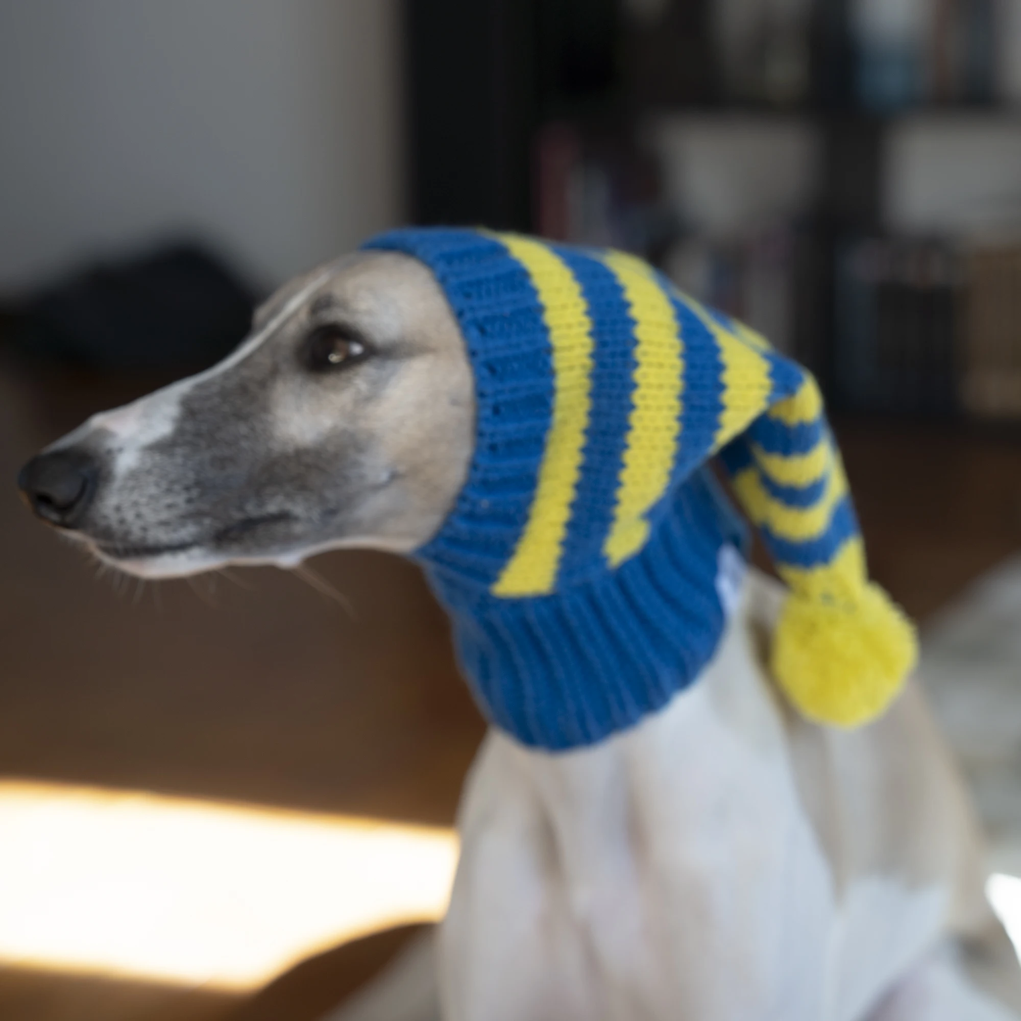Gorro de punto a rayas azules para perros medianos en invierno Galgo italiano Primavera lindo disfraz Whippet Pet Warm Hat en otoño - imagen 3