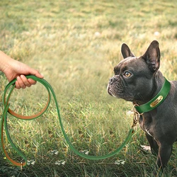 Correa de cuero personalizada para perros – Grabado incluido