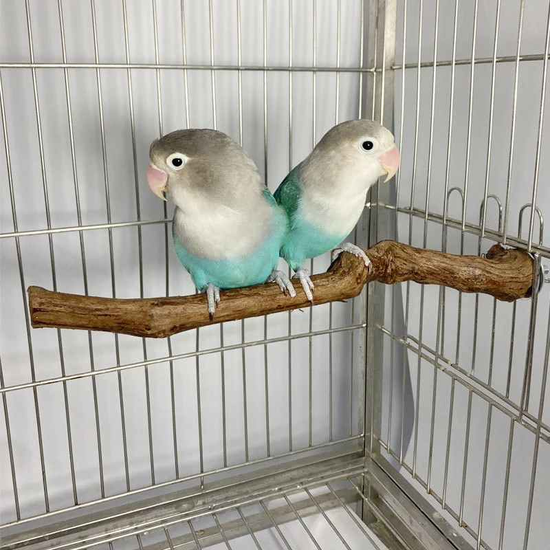 Palo de pie para loros y pájaros, palo de madera de uva, perchas para periquito, juguete para morder, accesorios para jaula de pájaros, 9134 - imagen 3