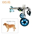 XXS size