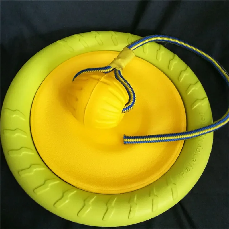 Juguete flotante de espuma EVA para perros, anillo Circular resistente a mordeduras, juguete para mascotas, cuerda de entrenamiento para perros al aire libre, pelota de juguete - imagen 5