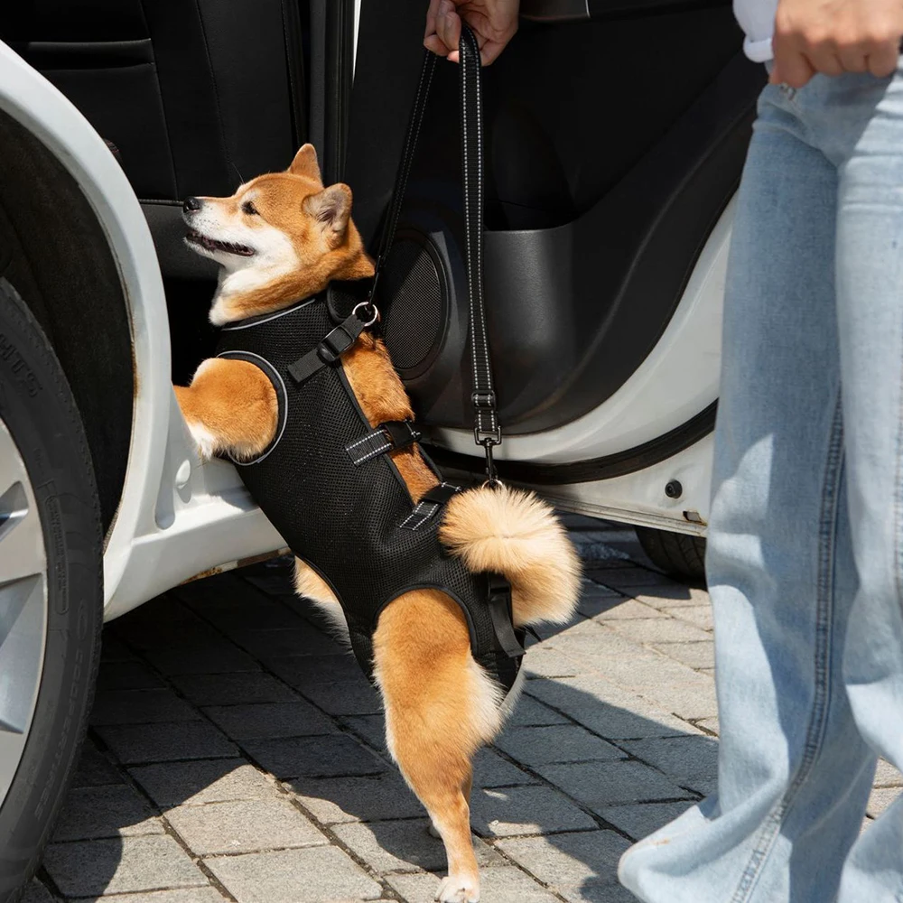 Ropa auxiliar para mascotas de alta calidad para perros mayores y discapacitados, traje de rehabilitación para deficientes, cinturón de asistencia para ejercicio para perros - imagen 4