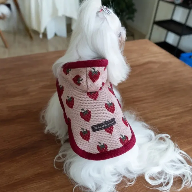 Sudadera con capucha de fresa para perros pequeños – Abrigo peluche invierno - imagen 4
