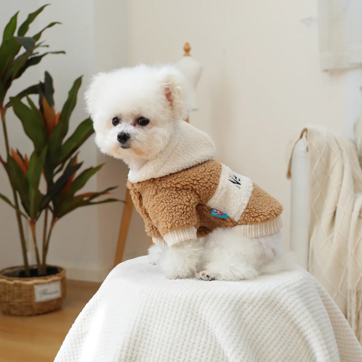 Chaqueta con capucha de felpa para mascotas, chaqueta bordada en contraste, ropa para perros pequeños y gatos, Sudadera con capucha de lana de cordero gruesa para Otoño e Invierno - imagen 2