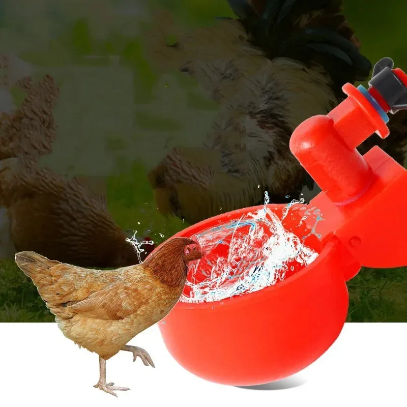 Taza para beber pollo, bebedero automático, alimentador de pollo, bebedero de plástico para aves de corral, bebedero de agua potable para pollitos, patos, gansos, codornices - imagen 5