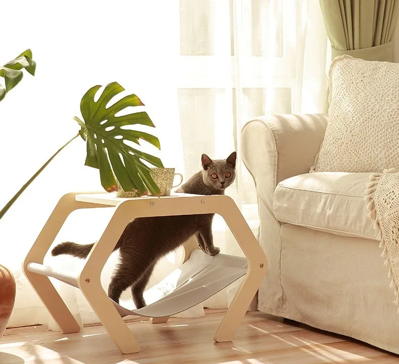 Gato disfrutando de la hamaca en interior