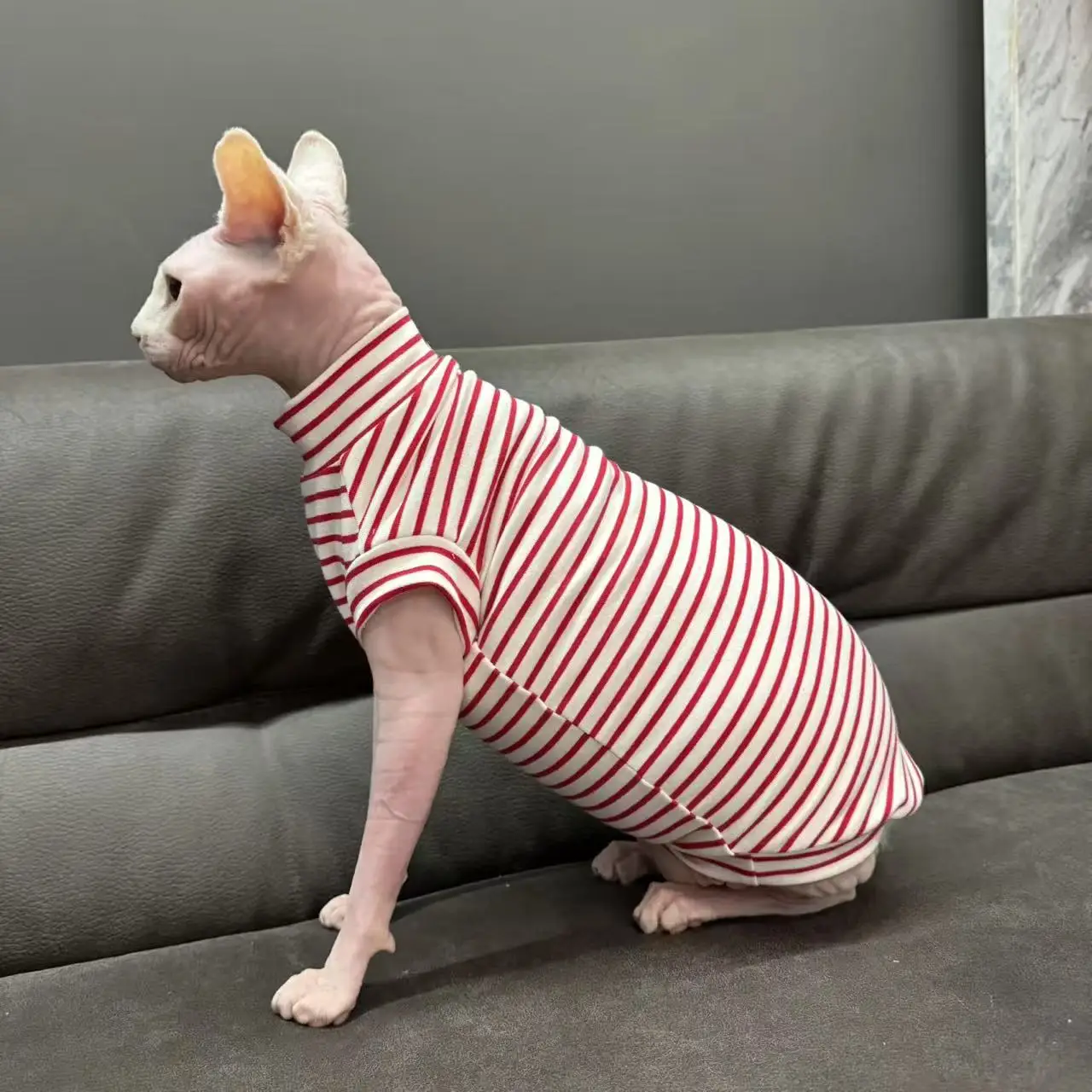 Camiseta de algodón con tiras de primavera para pijama negro de manga corta Sphynx Cat en otoño chaleco rojo suave para Devon Rex para Devon Rex - imagen 4