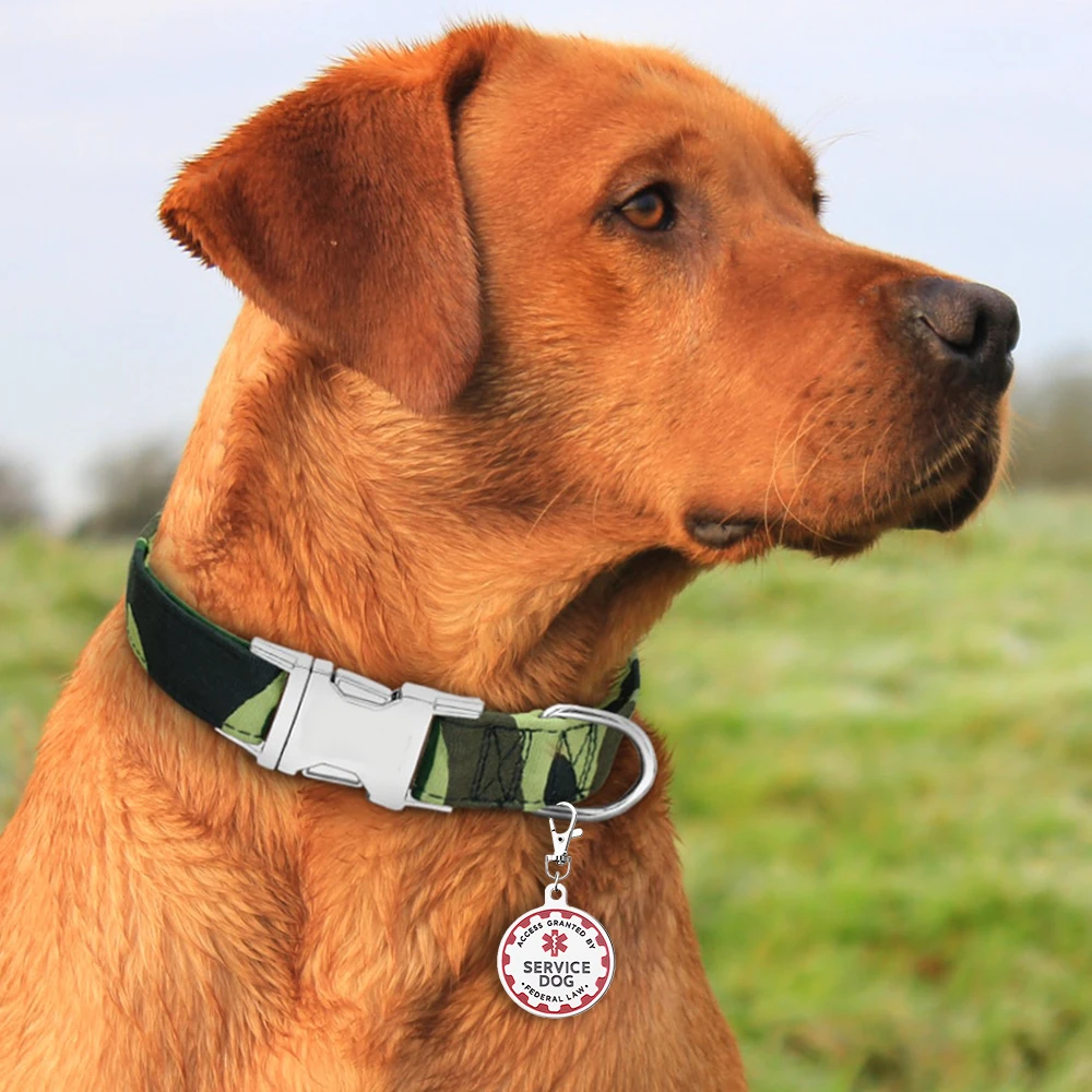Etiqueta de servicio para perros, símbolo de alerta médica roja, Collar colgante de Metal para mascotas, etiquetas ESA para perros grandes y pequeños, accesorios de decoración - imagen 5