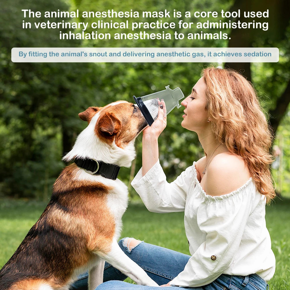 Máscara de anestesia para animales, cúpula transparente de PVC de grado médico con anillo de fijación de película protectora de silicona para equipos veterinarios para mascotas - imagen 3