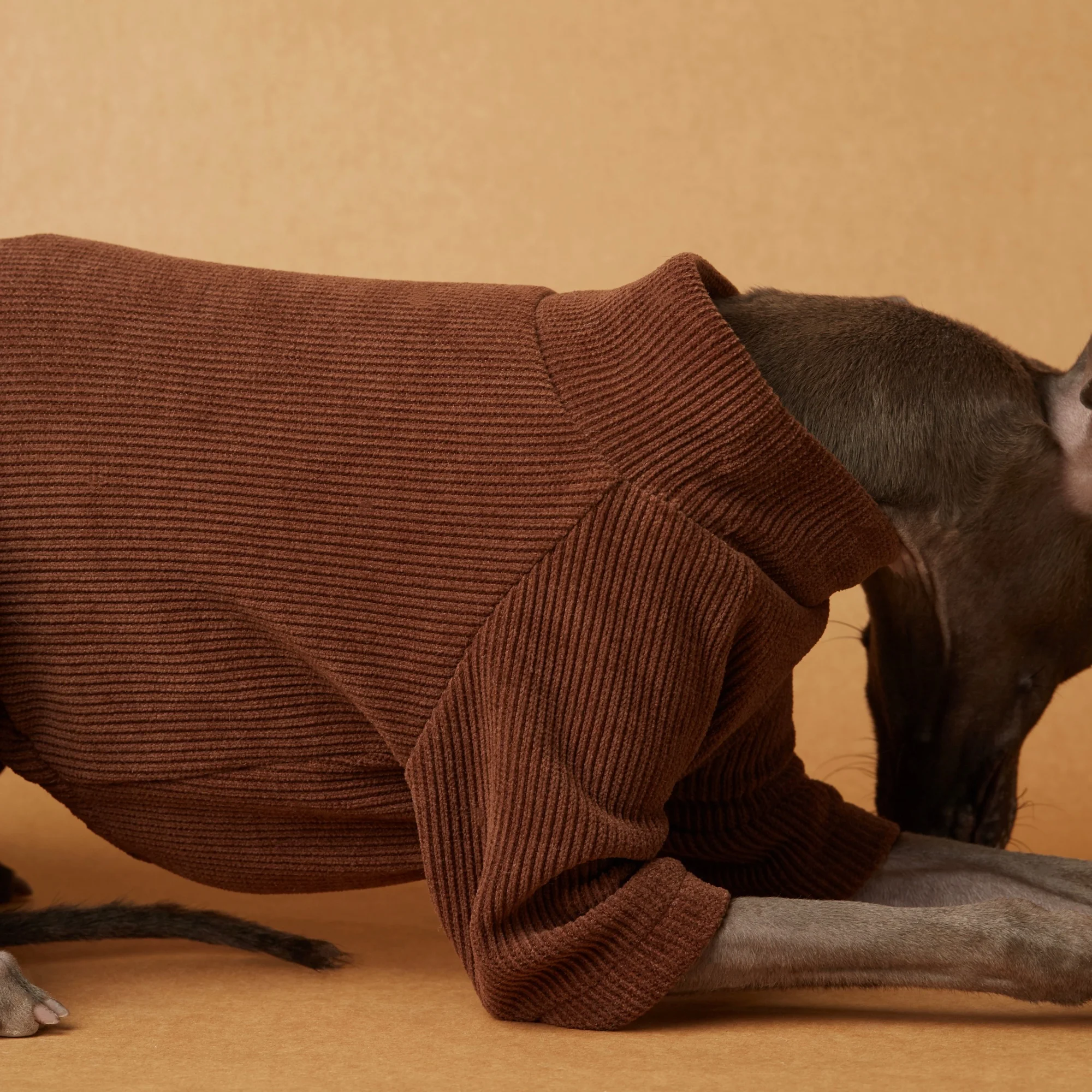 Sudadera polar de cuatro patas para perros en invierno, elegantes pantalones acampanados de PU de café para galgo italiano, abrigo de otoño para Whippet - imagen 4