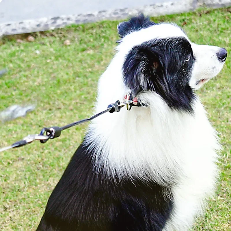 Correa para perro, correas extensibles de 45cm, correas antimordeduras para perros, correa de cuerda de alambre de acero inoxidable para perros que caminan, cadena para perros, accesorios para mascotas - imagen 2