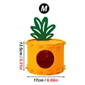 Orange M