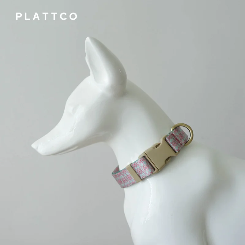PLATTCO-Collar de nailon ajustable para perro y gato pequeño, accesorio para mascotas, suave, cómodo y duradero, suministros para cachorros, Aqua Glaze - imagen 3