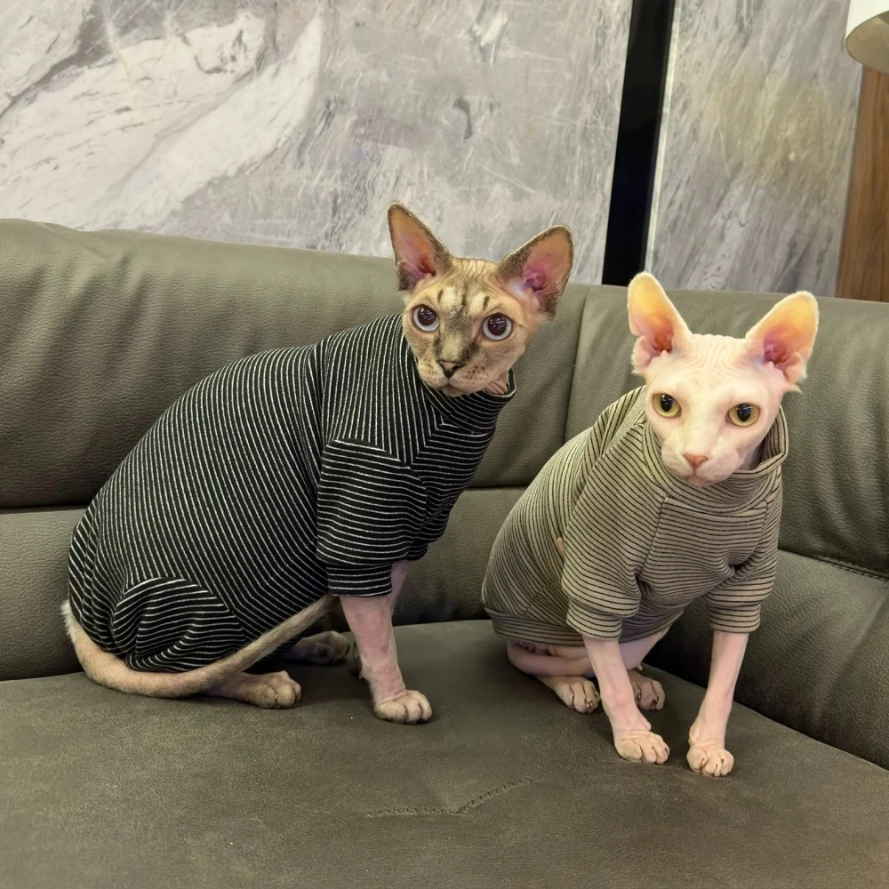 Abrigo cálido de algodón a rayas de 4 Patas para gato Sphynx, mono elástico de primavera para gatitos, ropa interior de invierno de cuello alto, ropa interior para Alex Rex - imagen 2