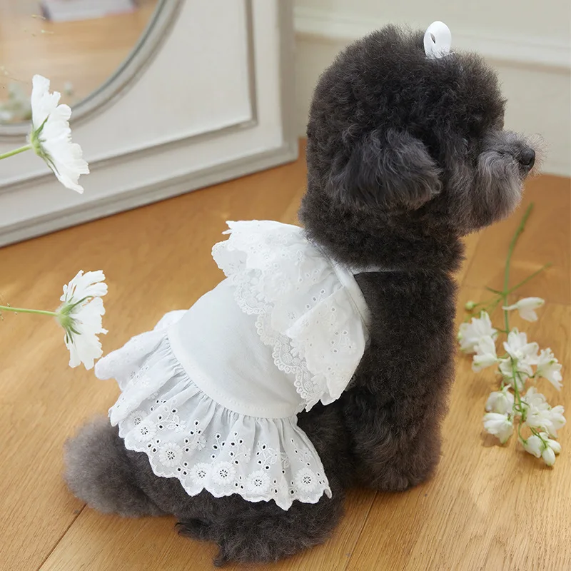 Vestidos blancos para mascotas, falda con tirantes de encaje de verano, camiseta sin mangas para perros y gatos, vestido de encaje para perros pequeños, vestidos para perros pequeños
