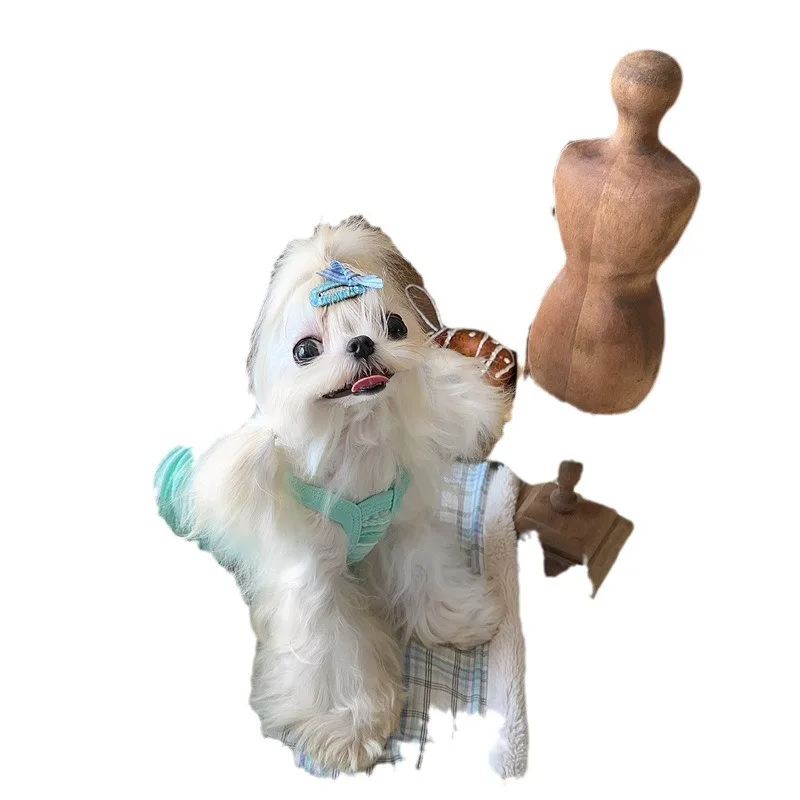 Camisola a rayas para mascotas, Top de color caramelo, transpirable para primavera, oso de peluche, bonito chaleco de malla para mascotas, ropa para cachorros - imagen 5