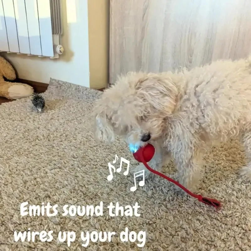 Bola rodante automática, pelota interactiva, juguetes para gatos, suministros para mascotas, entrenamiento eléctrico para perros y gatos para imitar productos recargables para ratas - imagen 3