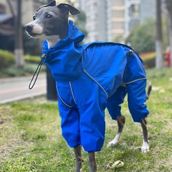 Chubasquero impermeable con cremallera para Whippet y galgo