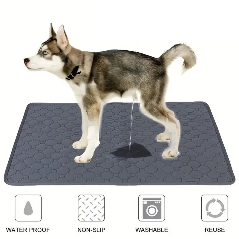 Almohadilla reutilizable para entrenamiento – Perros y gatos - imagen 2